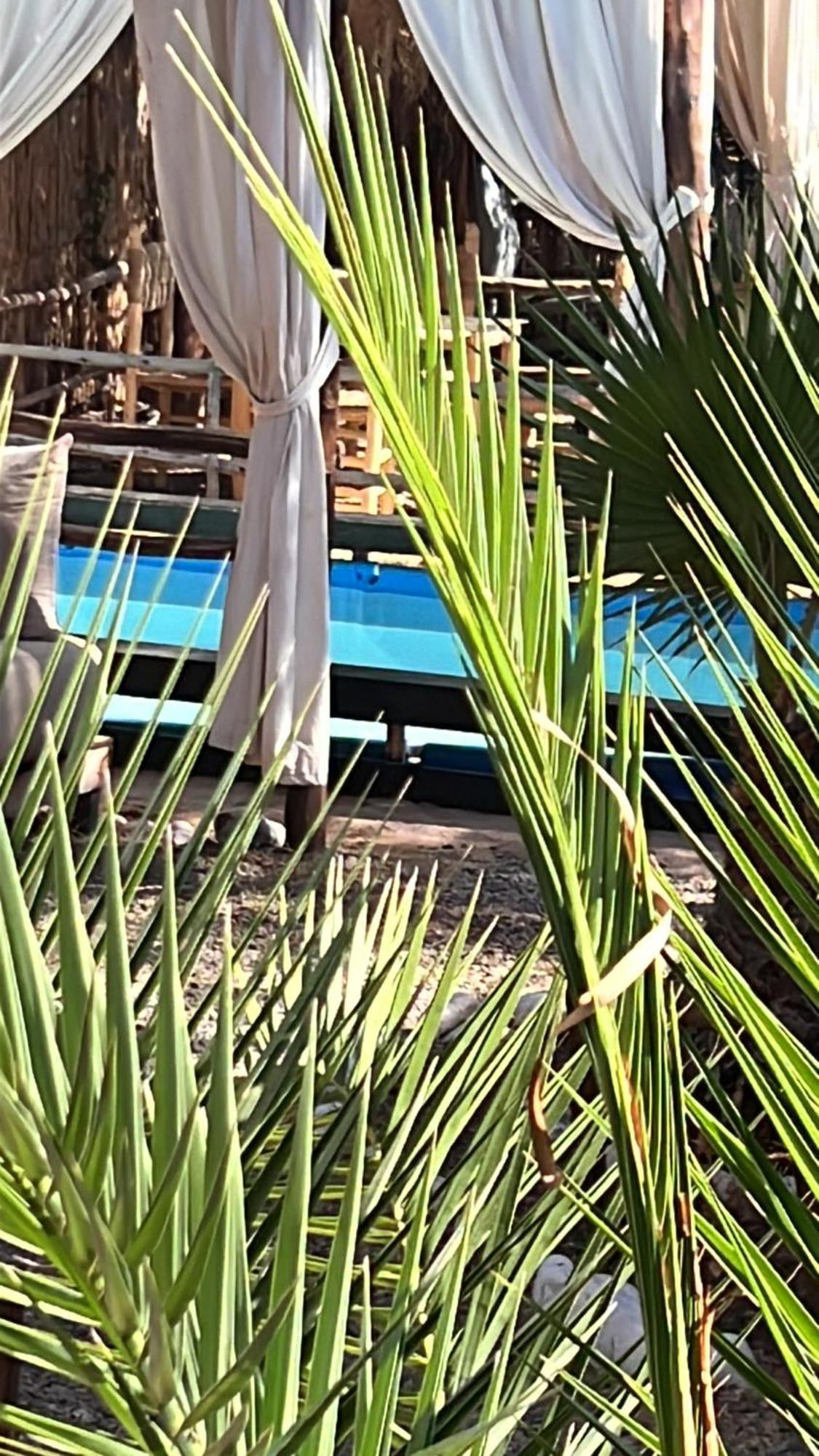 Dar Tadout Guest House Ait Ourir Exterior photo